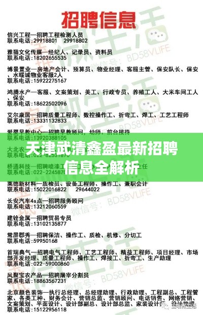 天津武清鑫盈最新招聘信息全解析