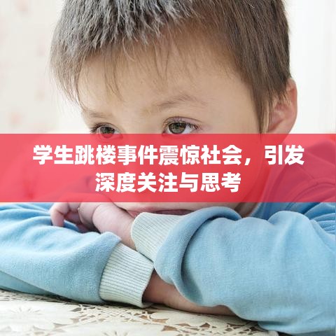 学生跳楼事件震惊社会，引发深度关注与思考