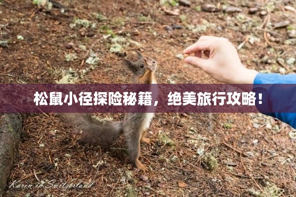 松鼠小径探险秘籍，绝美旅行攻略！