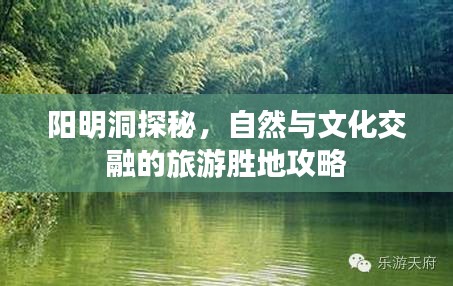 见仁见智 第2页