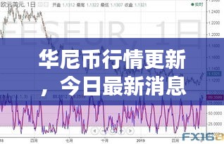 华尼币行情更新，今日最新消息与走势分析