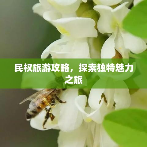 民权旅游攻略，探索独特魅力之旅