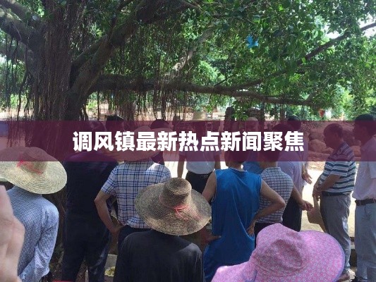调风镇最新热点新闻聚焦