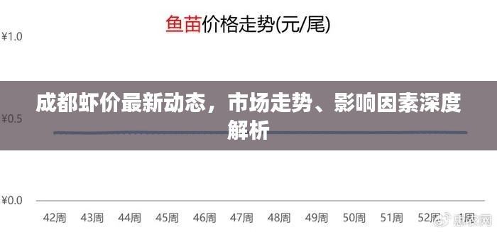 成都虾价最新动态，市场走势、影响因素深度解析