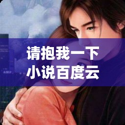 请抱我一下小说百度云，情感与回忆的深情交织