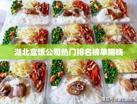 湖北盒饭公司热门排名榜单揭晓