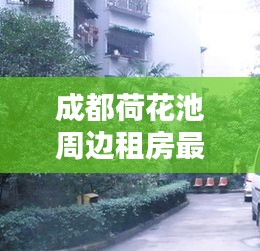 成都荷花池周边租房最新信息一网打尽！