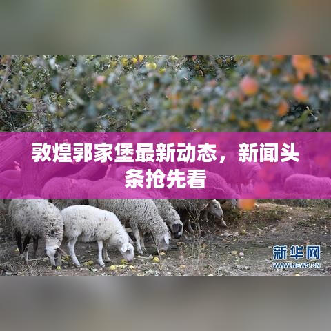 敦煌郭家堡最新动态，新闻头条抢先看