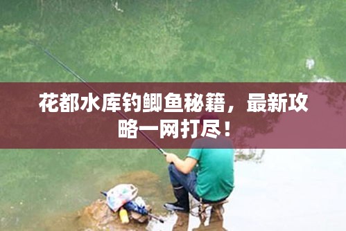 花都水库钓鲫鱼秘籍，最新攻略一网打尽！
