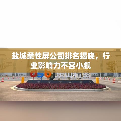 盐城柔性屏公司排名揭晓，行业影响力不容小觑