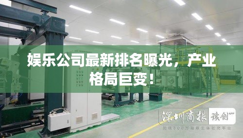 娱乐公司最新排名曝光，产业格局巨变！