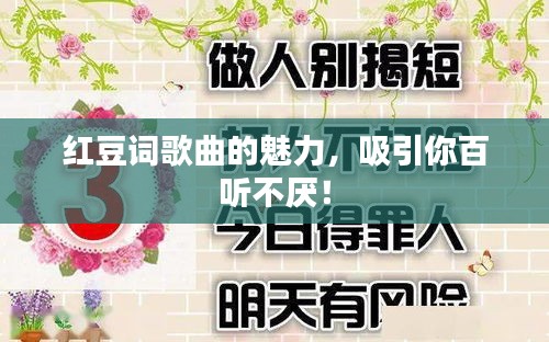 红豆词歌曲的魅力，吸引你百听不厌！