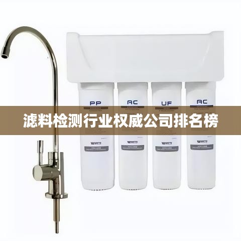 滤料检测行业权威公司排名榜
