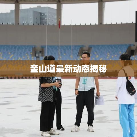 奎山道最新动态揭秘