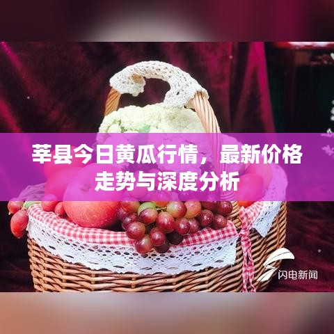 莘县今日黄瓜行情，最新价格走势与深度分析