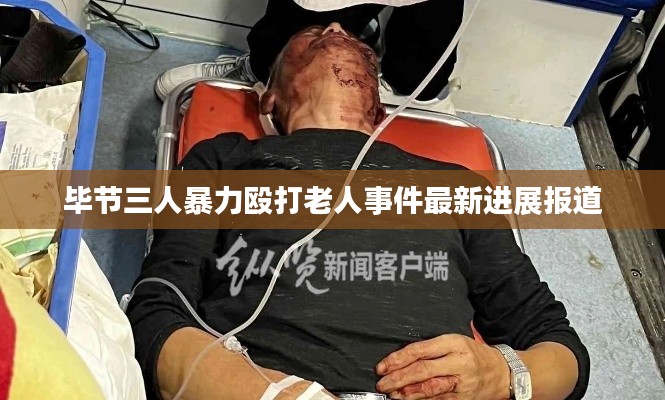 毕节三人暴力殴打老人事件最新进展报道