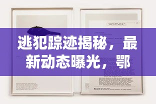 逃犯踪迹揭秘，最新动态曝光，鄂尔多斯是否成为藏身之地？