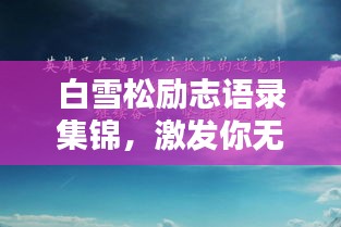 白雪松励志语录集锦，激发你无限潜能的励志名言