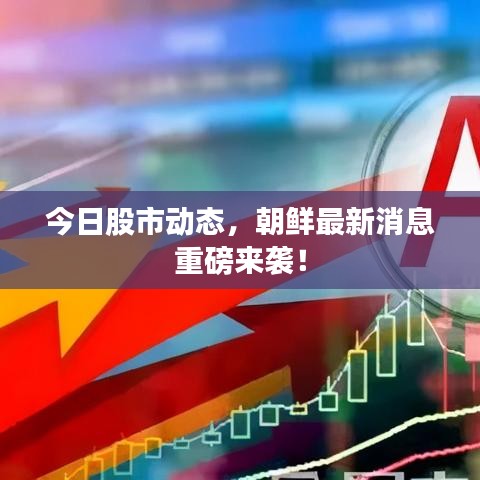 今日股市动态，朝鲜最新消息重磅来袭！