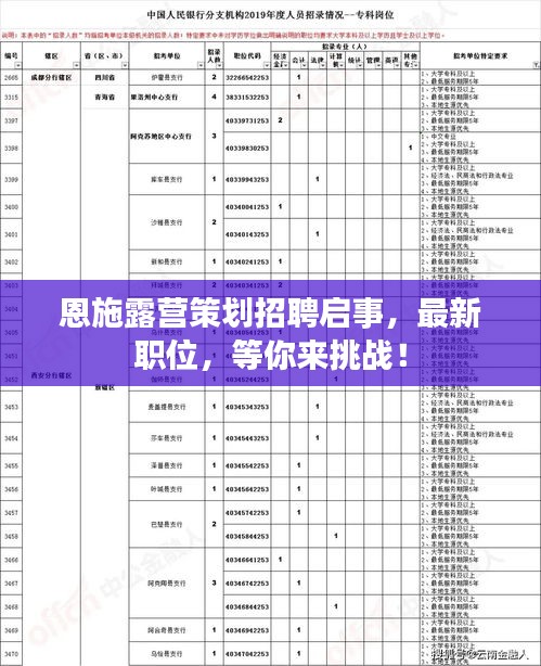 恩施露营策划招聘启事，最新职位，等你来挑战！
