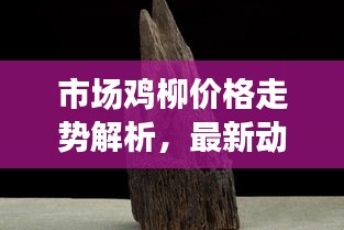 市场鸡柳价格走势解析，最新动态及趋势展望