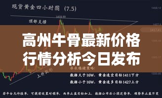 高州牛骨最新价格行情分析今日发布
