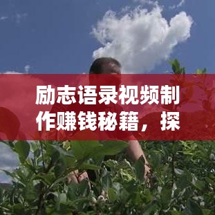 励志语录视频制作赚钱秘籍，探索新媒体时代的财富之路