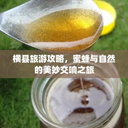 横县旅游攻略，蜜蜂与自然的美妙交响之旅