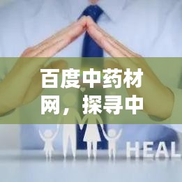 百度中药材网，探寻中药宝藏的指南