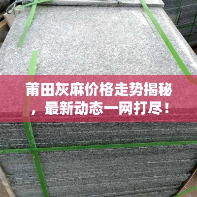莆田灰麻价格走势揭秘，最新动态一网打尽！