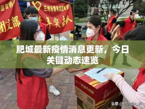 肥城最新疫情消息更新，今日关键动态速览