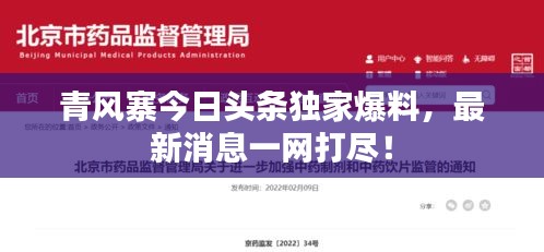 青风寨今日头条独家爆料，最新消息一网打尽！