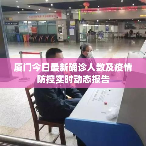 厦门今日最新确诊人数及疫情防控实时动态报告