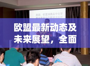 欧盟最新动态及未来展望，全面解读今日新消息