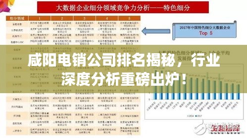 咸阳电销公司排名揭秘，行业深度分析重磅出炉！