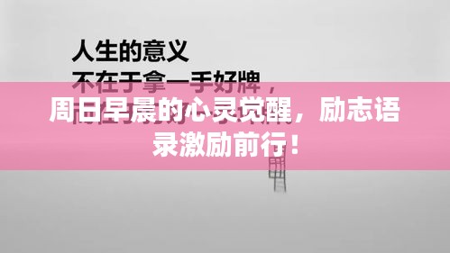 周日早晨的心灵觉醒，励志语录激励前行！