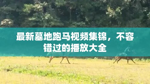 最新墓地跑马视频集锦，不容错过的播放大全