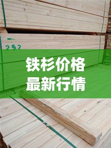 铁杉价格最新行情分析，今日市场动态揭秘