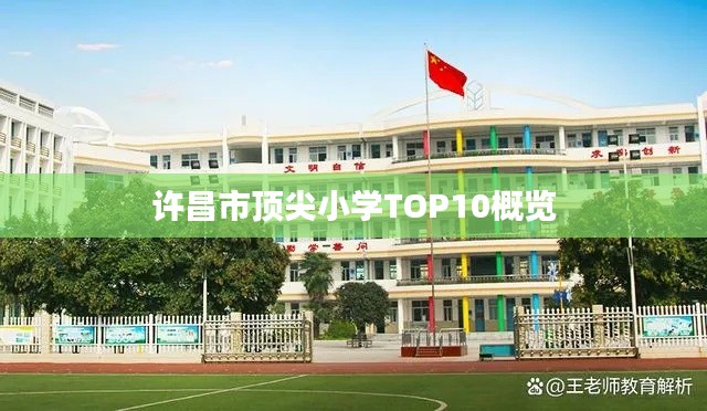 许昌市顶尖小学TOP10概览