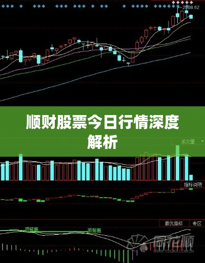 顺财股票今日行情深度解析
