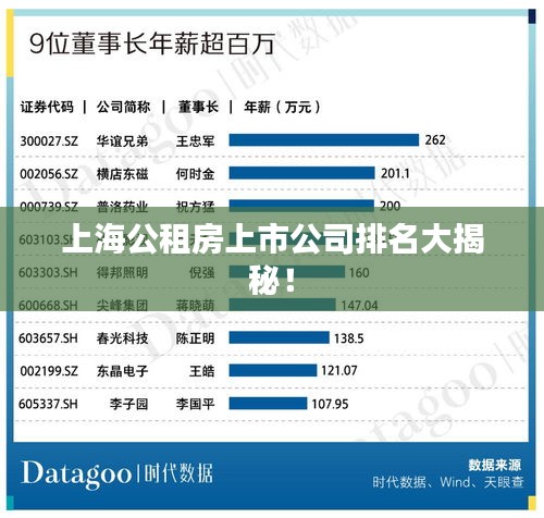 上海公租房上市公司排名大揭秘！