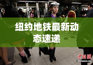 纽约地铁最新动态速递