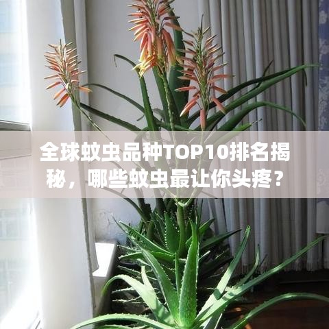 全球蚊虫品种TOP10排名揭秘，哪些蚊虫最让你头疼？