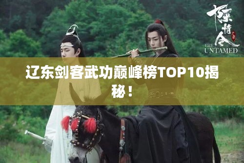 辽东剑客武功巅峰榜TOP10揭秘！