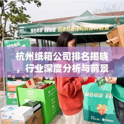 杭州纸箱公司排名揭晓，行业深度分析与前景展望