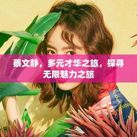 蔡文静，多元才华之旅，探寻无限魅力之旅