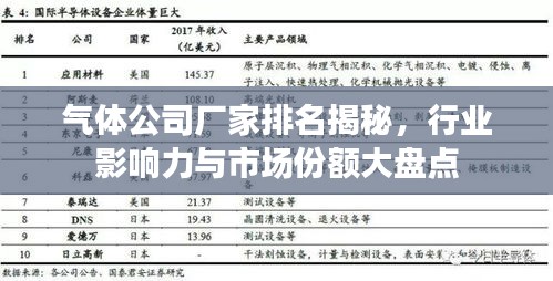 气体公司厂家排名揭秘，行业影响力与市场份额大盘点