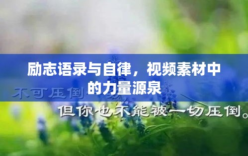 侃侃而谈 第2页