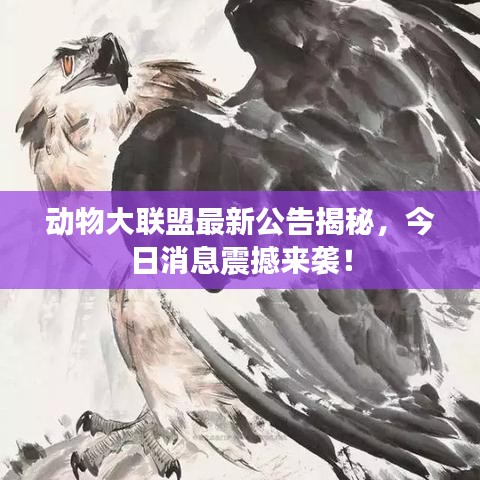 电视机 第79页