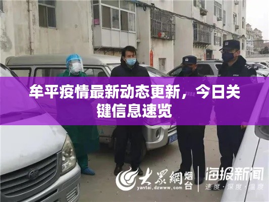 牟平疫情最新动态更新，今日关键信息速览